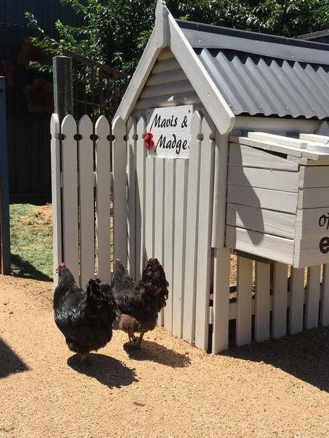 Thelma's Temora - Newcastle Accommodation 12