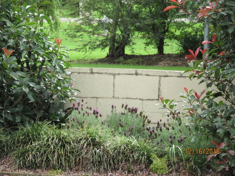 Moruya Motel - New Castle Tourism 16