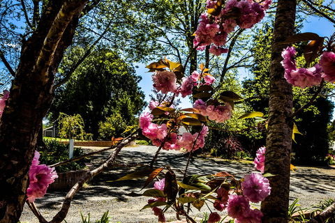 Bundanoon Lodge - Newcastle Accommodation 3