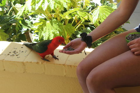 Bundanoon Lodge - Newcastle Accommodation 4