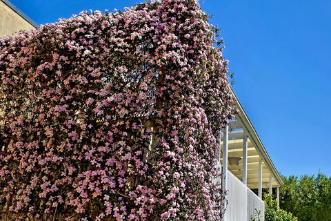 Bundanoon Lodge - Newcastle Accommodation 13