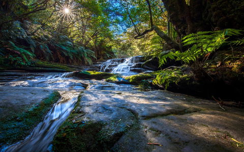 Sky Rider Motor Inn - Newcastle Accommodation 6