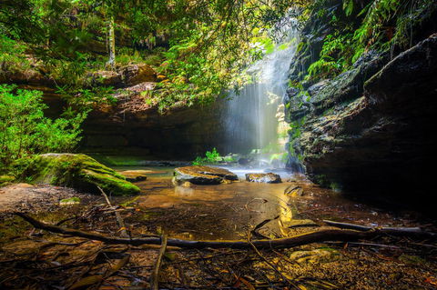 Sky Rider Motor Inn - Newcastle Accommodation 23