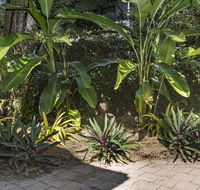 Nineteen on Nudl - Newcastle Accommodation