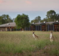 Wildman Wilderness Lodge - Newcastle Accommodation