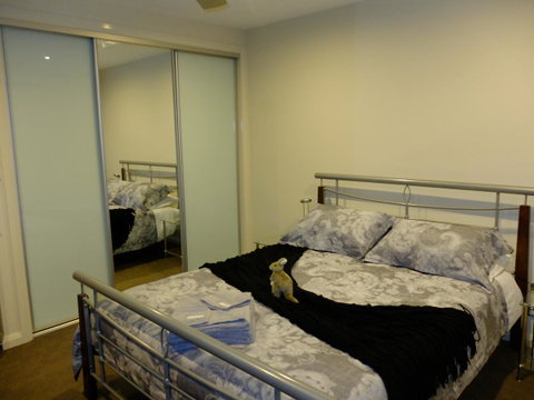 Rock Wallaby - Newcastle Accommodation 14