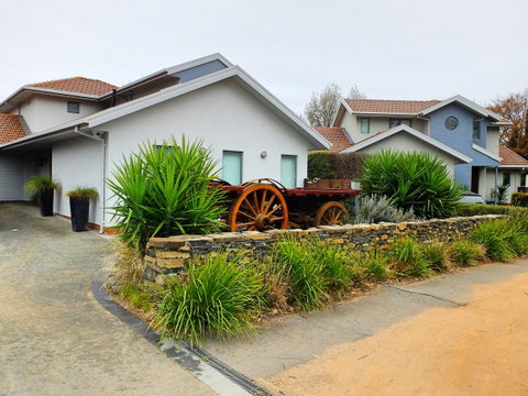 Rock Wallaby - Newcastle Accommodation 5