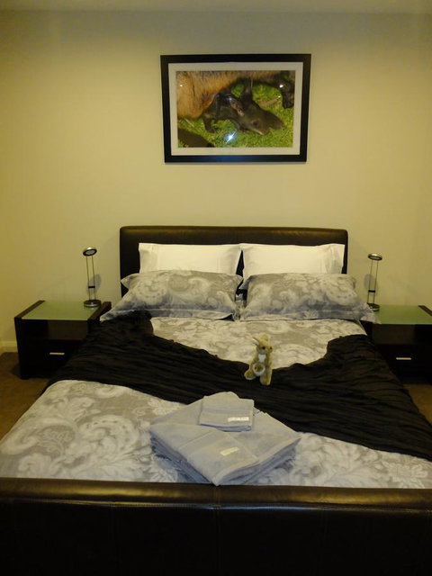 Rock Wallaby - Newcastle Accommodation 18