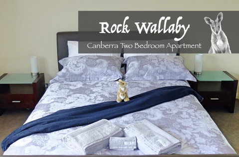 Rock Wallaby - Newcastle Accommodation 4