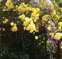 Bowral Road Bed and Breakfast - New Castle Tourism