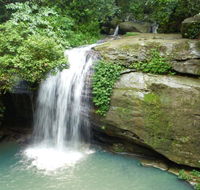 Buderim Forest Hideaway - Newcastle Accommodation