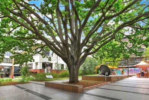 Canberra Luxury Apartment 8 - Newcastle Accommodation 1
