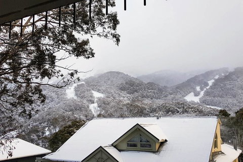 Celesia 2 - Newcastle Accommodation 0