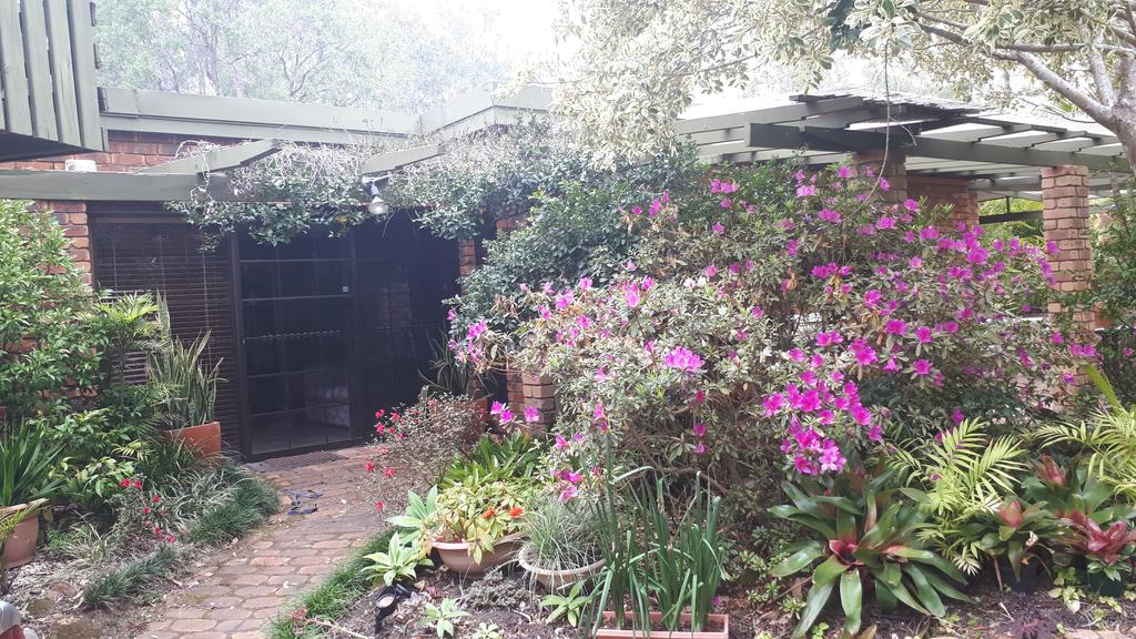 Waterview NSW New Castle Tourism