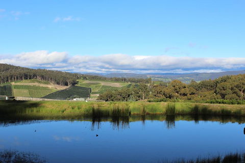 Cherryview Cygnet - New Castle Tourism 1