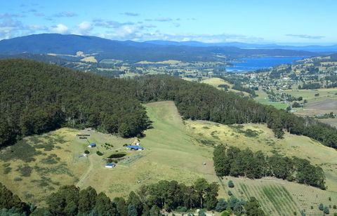 Cherryview Cygnet - New Castle Tourism 2