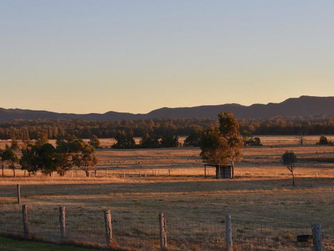 Clydesdale Cottage On Talga With Real Clydesdale Horses - Newcastle Accommodation 3