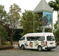 Daintree Wild Bed  Breakfast - Newcastle Accommodation