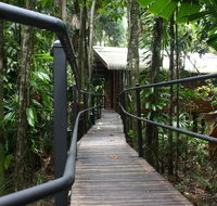 Daintree Wilderness Lodge - Newcastle Accommodation