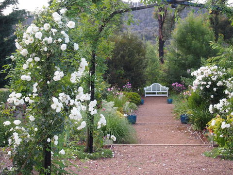 Delderfield Cottages - New Castle Tourism 0