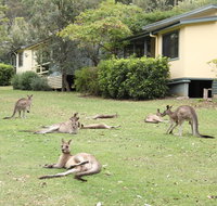 Depot Beach Cabins - New Castle Tourism