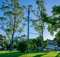 Dorrigo Mountain Holiday Park - Newcastle Accommodation