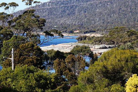 Douglas Street - Newcastle Accommodation 1