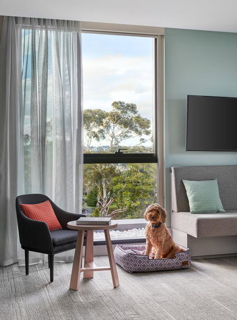 Element Melbourne Richmond - Newcastle Accommodation 3