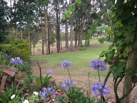 Elfin Hill Vineyard Accommodation - Newcastle Accommodation 2