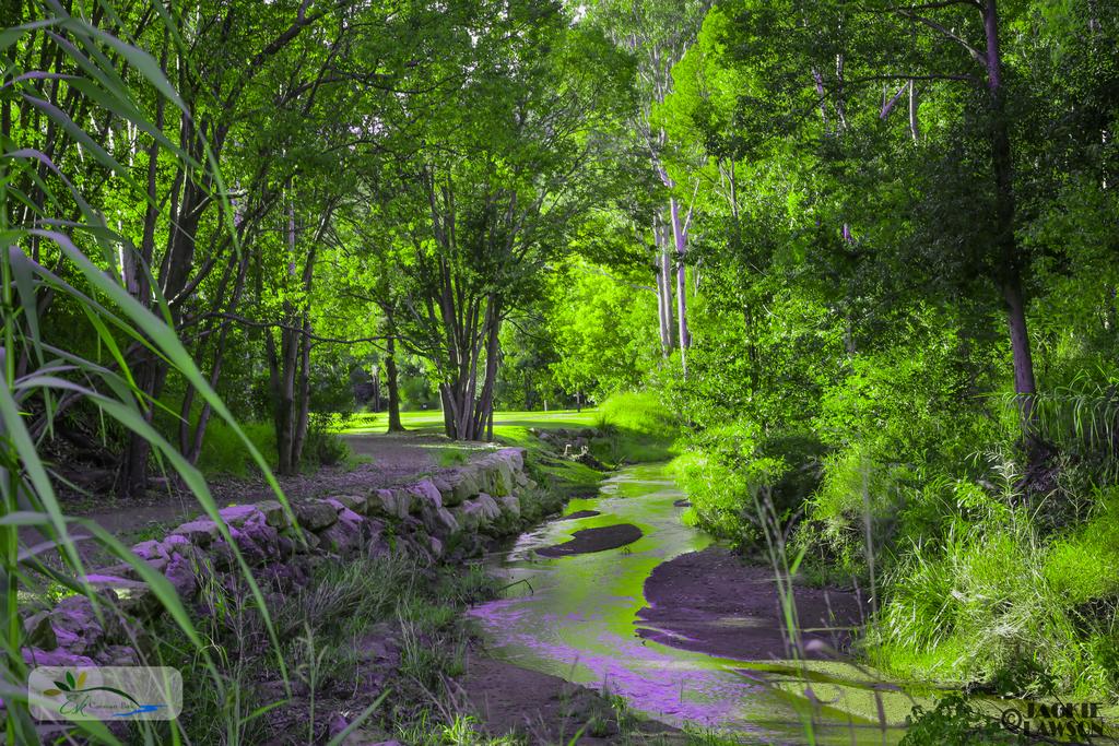 Mount Byron QLD New Castle Tourism