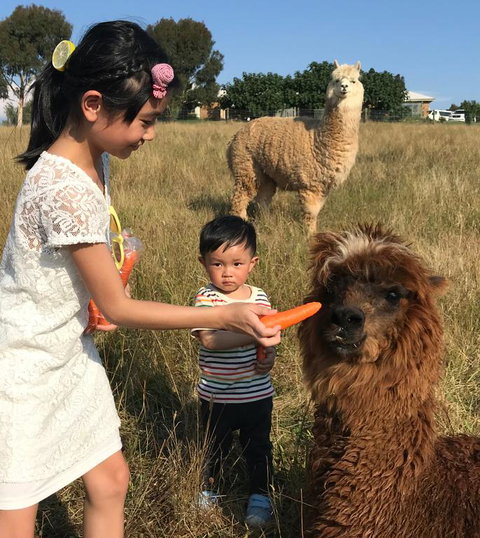 Farm Accommodation - Newcastle Accommodation 3