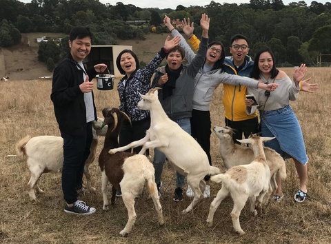 Farm Accommodation - Newcastle Accommodation 1