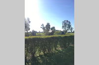 Book Benalla Accommodation Vacations Newcastle Accommodation Newcastle Accommodation