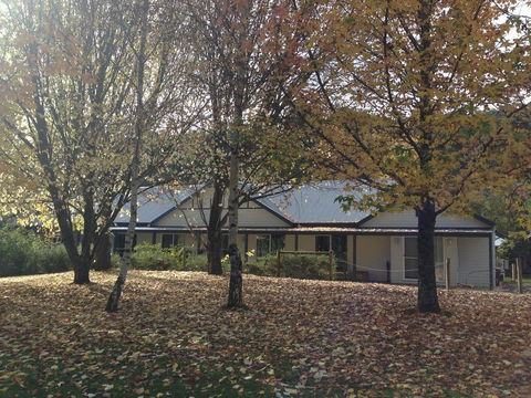 Goldberryaccommodation - New Castle Tourism 0