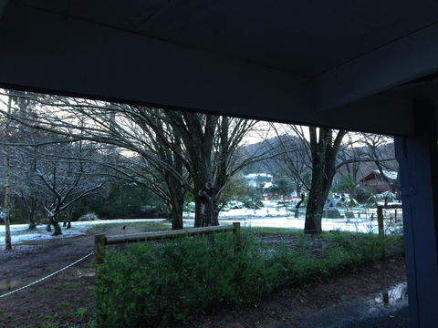 Goldberryaccommodation - New Castle Tourism 3
