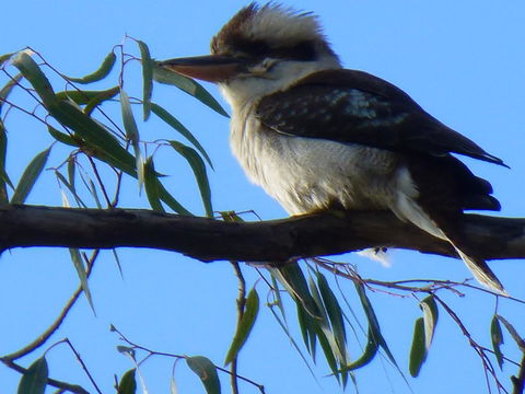 Golfers Retreat Motel - Newcastle Accommodation 2