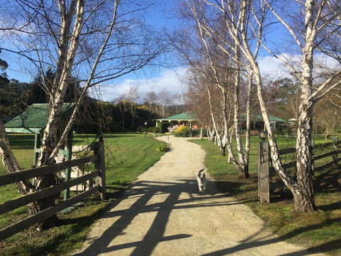 Green Gables B&B - New Castle Tourism 0