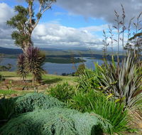 Grindelwald Lodge and Gardens - Newcastle Accommodation
