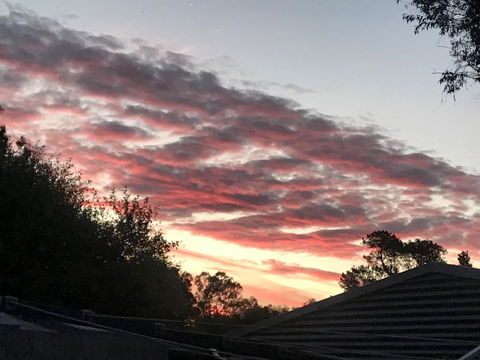 Guinevere - Newcastle Accommodation 2