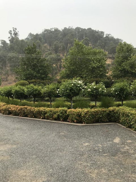 Guinevere - Newcastle Accommodation 0