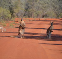 Gundabooka National Park Cottages - Newcastle Accommodation