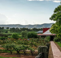 Hanging Tree Wines - Newcastle Accommodation