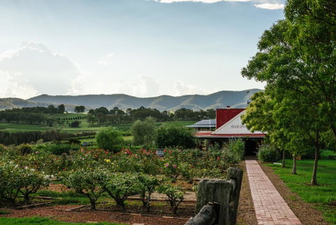 Hanging Tree Wines - Newcastle Accommodation 0
