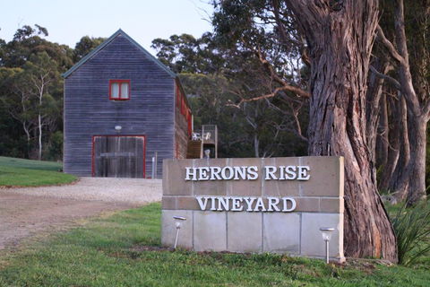 Herons Rise Vineyard Accommodation - Newcastle Accommodation 0