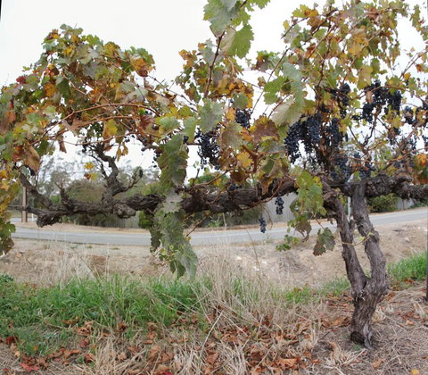 Horrocks Road Lodge - Newcastle Accommodation 3