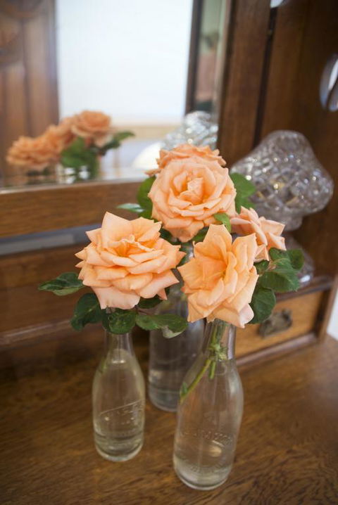 Leo's Rest Bathurst NSW - Newcastle Accommodation 3