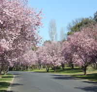 Leo's Rest Bathurst NSW - Newcastle Accommodation
