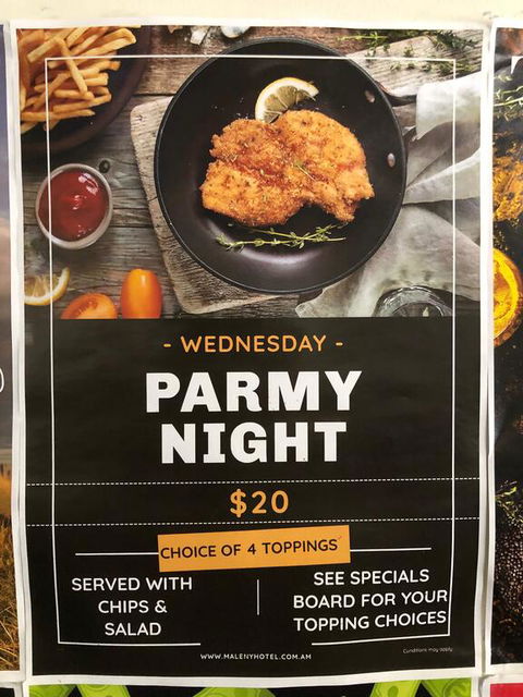 Maleny Hotel - Newcastle Accommodation 1