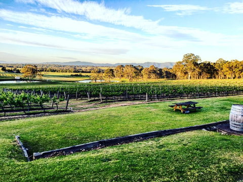 Molly Morgan Vineyard - Newcastle Accommodation 1