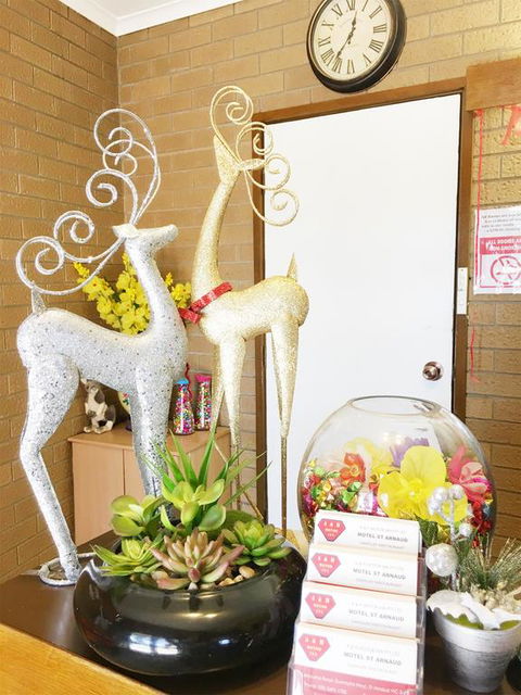 Motel St Arnaud - Newcastle Accommodation 3